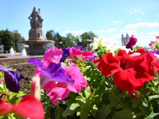 В Волгограде в мае распустились 30 тысяч цветов