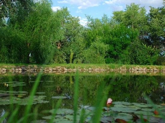 Водоемы в Волгограде и на острове Сарпинском обрабатывают от комаров