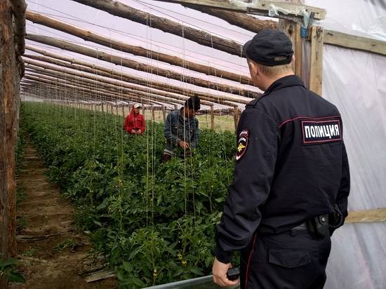 В Иловле задержали 44 мигранта-нарушителя