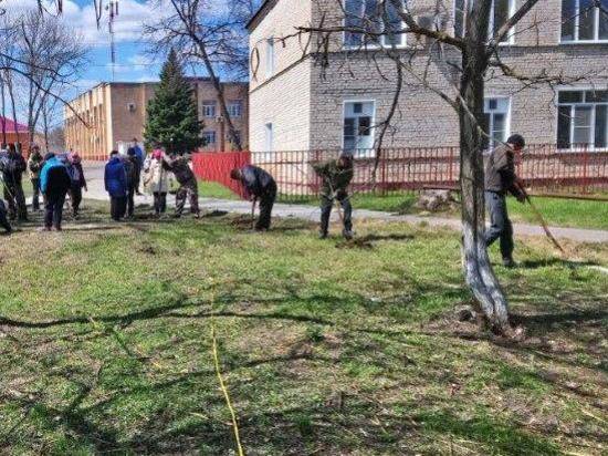 В Волгоградской области станицу украсили чубушником, форзициями и спиреями