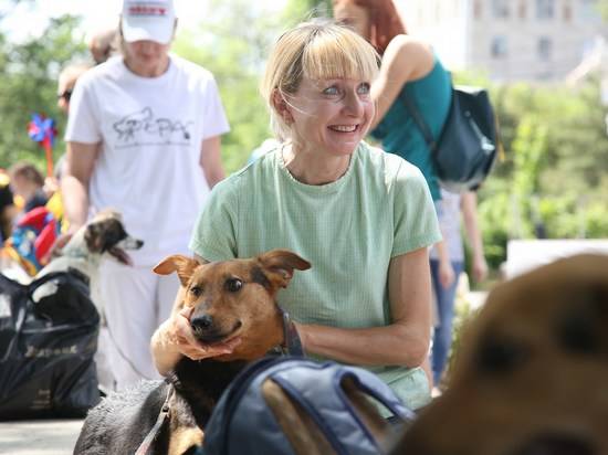 Дорога домой: волгоградцы на благотворительной выставке выбрали себе питомцев