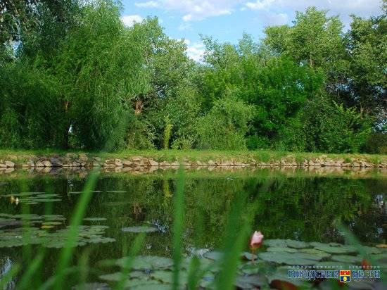В Волгоградской области обработали от комаров более тысячи гектаров