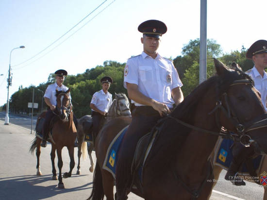 Без нарушений: матч между Японией и Польшей прошел спокойно