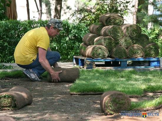 В Волгограде ищут подрядчика для реконструкции парка «Сказка»