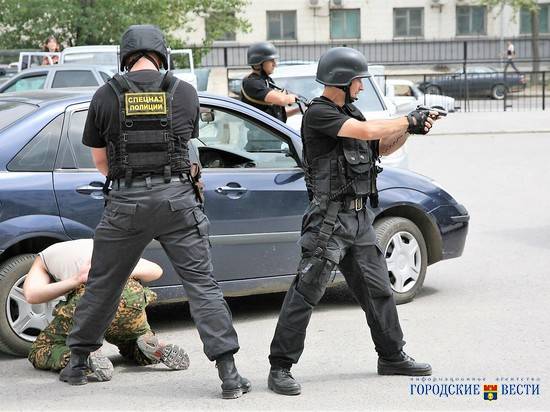 В Волгограде и области количество преступлений снизилось на 4,9%