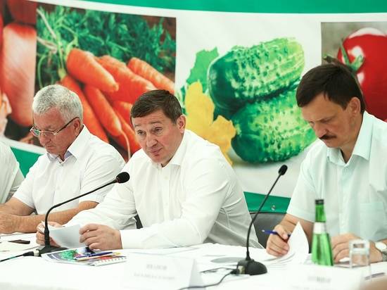 Андрей Бочаров: Нужно выйти на миллион тонн овощей промышленного производства