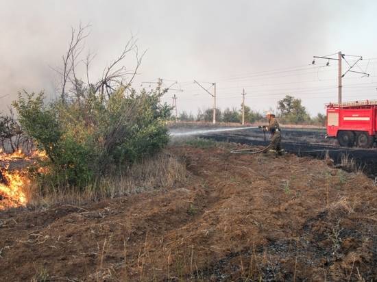 Под угрозой: в последнюю неделю лета Волгоградской области грозит «большой огонь»