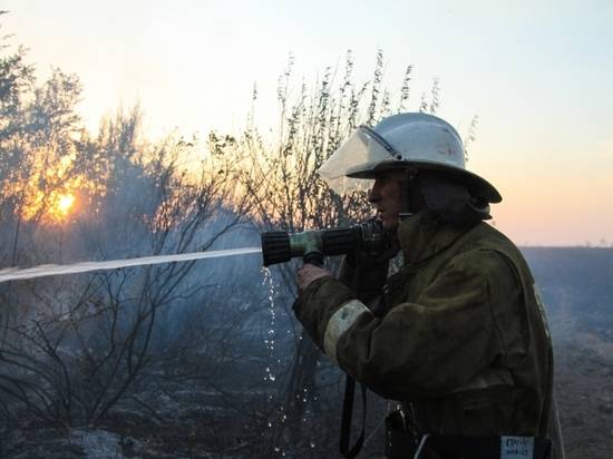 Ветер усилит угрозу возникновения «большого огня» в Волгоградской области