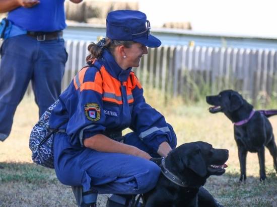 В Волгограде на испытаниях кинологичеких отрядов собаки прошли этап послушания и ловкости