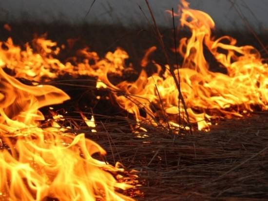 Неосторожные волгоградцы спалили 80 тонн сена