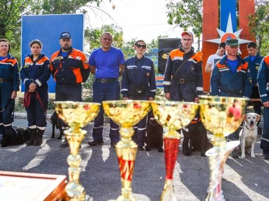 Несколько десятков кинологов из ЮФО сдали экзамены в Волгоградской области