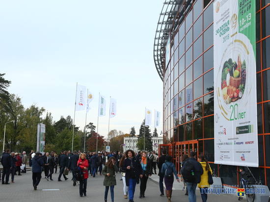 Волгоградская область представила на «Золотой осени – 2018» консолидированный результат волгоградского АПК