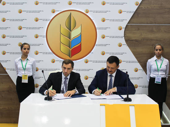На выставке «Золотая осень» Волгоградская область подписала соглашении с «ФосАгро-Регион»