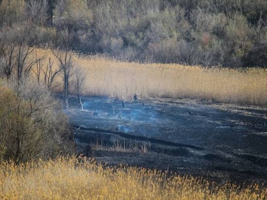 Несмотря на осень, волгоградским лесам вновь угрожает «большой огонь»