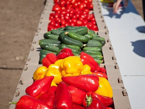 Волгоградские аграрии собрали в этом сезоне уже 653 тысячи тонн овощей