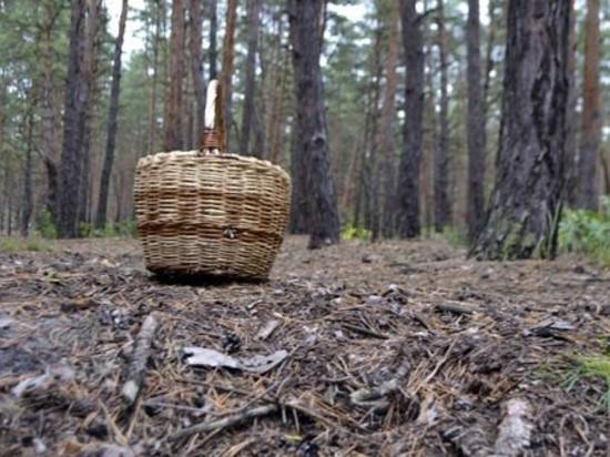 В Урюпинске пропавшую 82-летнюю женщину нашли рыбаки