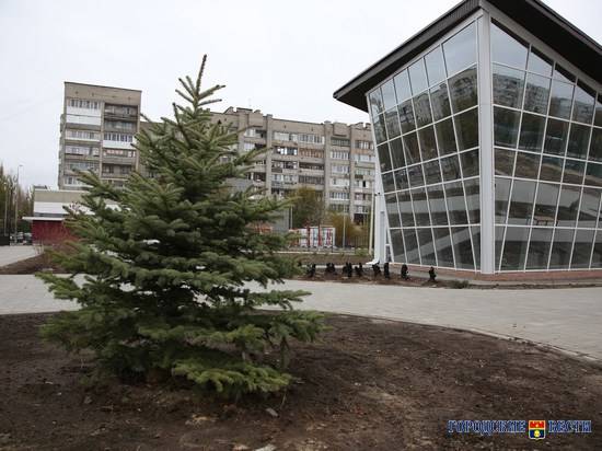 Спирея, миндаль, можжевельник: необычные растения украсили новый парк на Спартановке