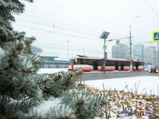 В Волгоградской области декабрь начинается со снега и метели