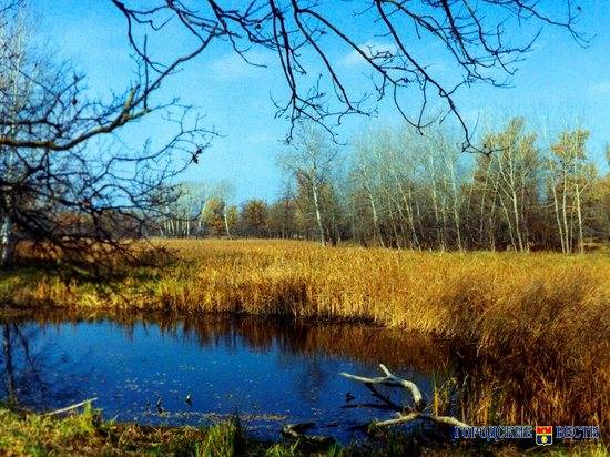 2 декабря в Волгоградской области закрывают сезон осенней охоты