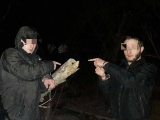 Двух 20-летних студентов поймали с поличным при закладке наркотиков