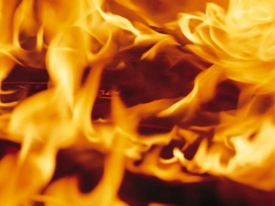 Волгоградцам напомнили, как правильно пользоваться электроприборами