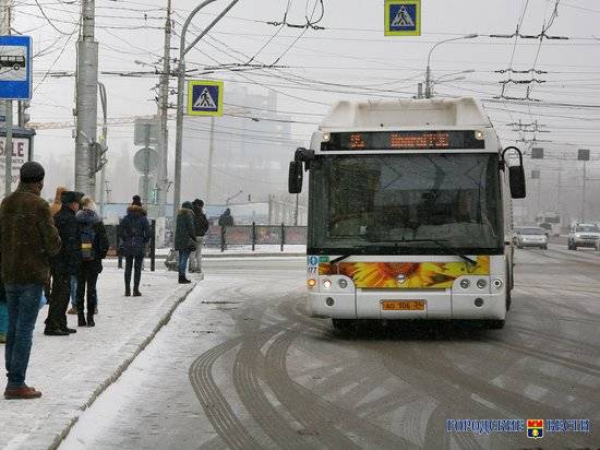 В центре Волгограда автомобилистка проехала на «красный» и протаранила автобус