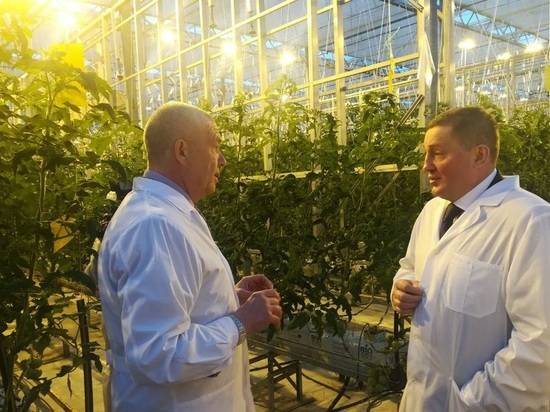 Андрей Бочаров посещает тепличный комплекс в Среднеахтубинском районе