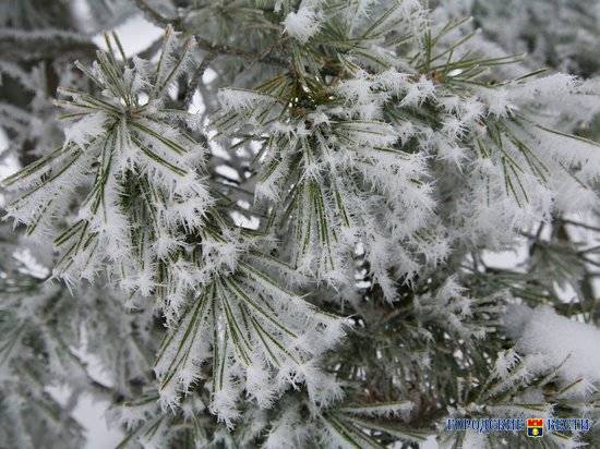 Снег и тепло пообещали синоптики Волгограду в четверг