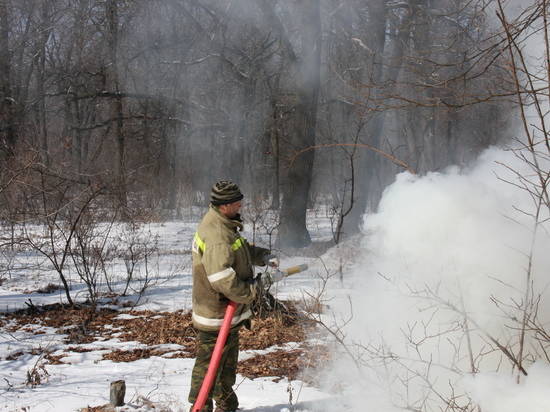 Волгоградская область купила тягач и два трала для борьбы с лесными пожарами