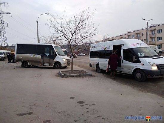 В Волгограде маршрут 5а пополнили пять микроавтобусов