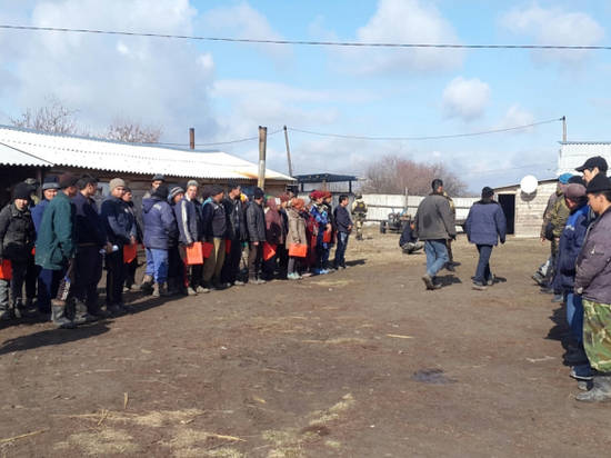 В теплицах под Волгоградом выявили 40 миграционных нарушений