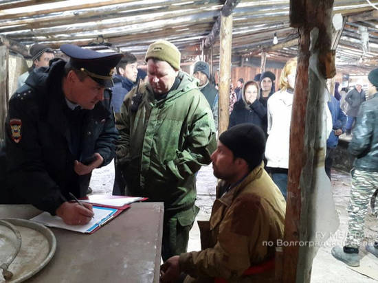 В теплицах Иловлинского района выявили 12 нелегальных мигрантов