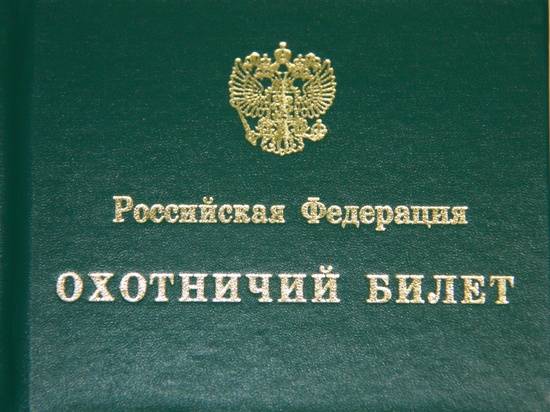 В Волгоградской области браконьеру грозит уголовное наказание за убитую лосиху