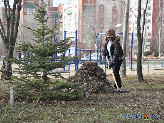 В Волгограде начался сезон субботников