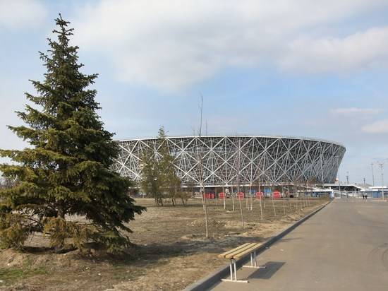 В Волгограде ЦПКиО украсят более 60 крупномерных саженцев деревьев