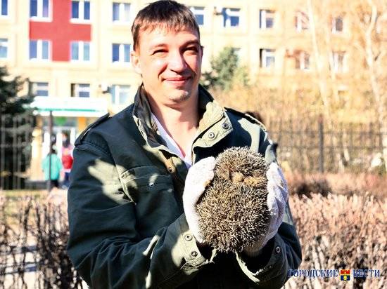 Волжские врачи спасли ежика во время высадки липовой аллеи