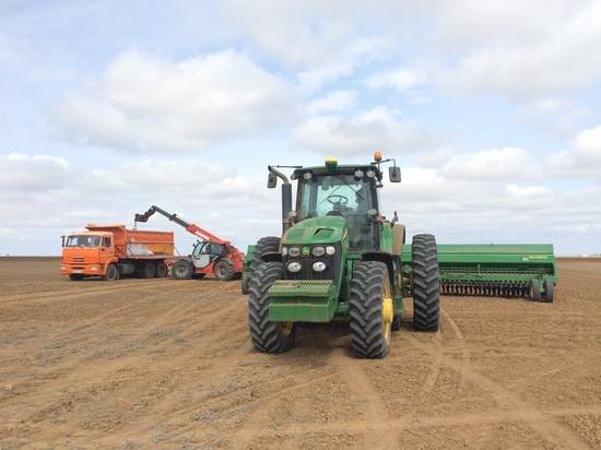 В Волгоградской области засеяли зерновыми 56,2 тысячи гектаров