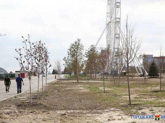 «ВолгаГражданПроект» разработает проект по укреплению склона вдоль ЦПКиО