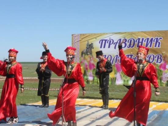 На юге Волгоградской области отметят праздник «Степной тюльпан»