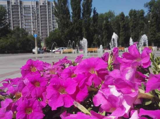 На 9 мая улицы Волгограда будут утопать в цветах