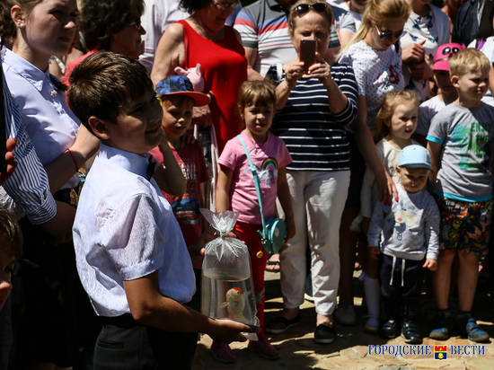 Волгоградские юнаты запустили в пруд на набережной карпов