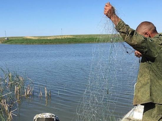В Волгоградской области усилили борьбу с водным браконьерством