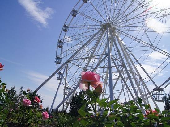 В ЦПКиО инвестор устанавливает навесы с качелями и столики для игры в шахматы