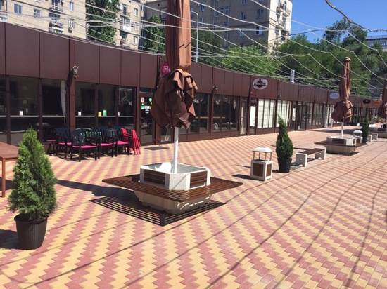 Территорию внутреннего дворика Центрального рынка украсили вечнозеленые туи