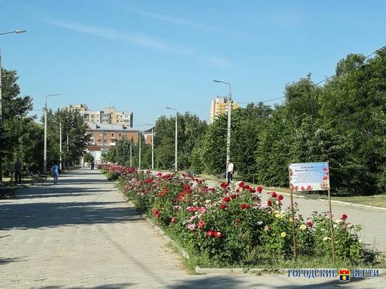 В Волгограде определяют подрядчика для реконструкции парка Гагарина