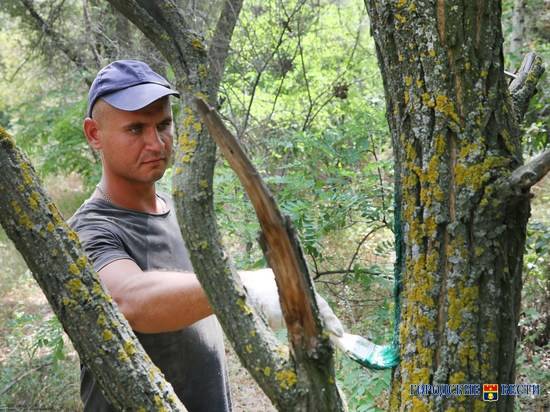 В центре Волгограда для любителей ЗОЖ появятся терренкуры