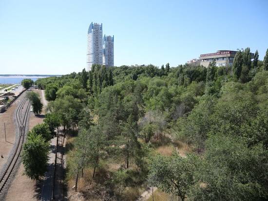 Правый склон поймы реки Царицы в Волгограде превратится в лесопарк