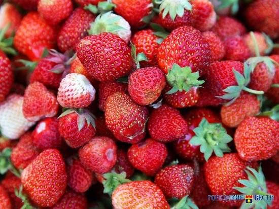 В России могут снизить НДС для плодово-ягодной продукции