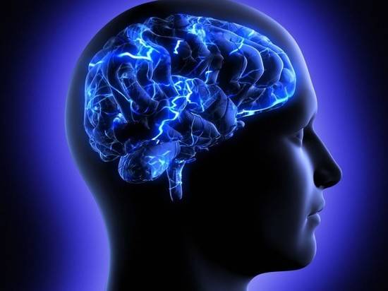 4 простых и полезных упражнения для памяти и мозга