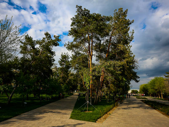 В Волгограде определены подрядчики для реконструкции парка им. Гагарина